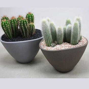 Cactus Gemengd Grijs Bruin Keramiek pot de 25cm
